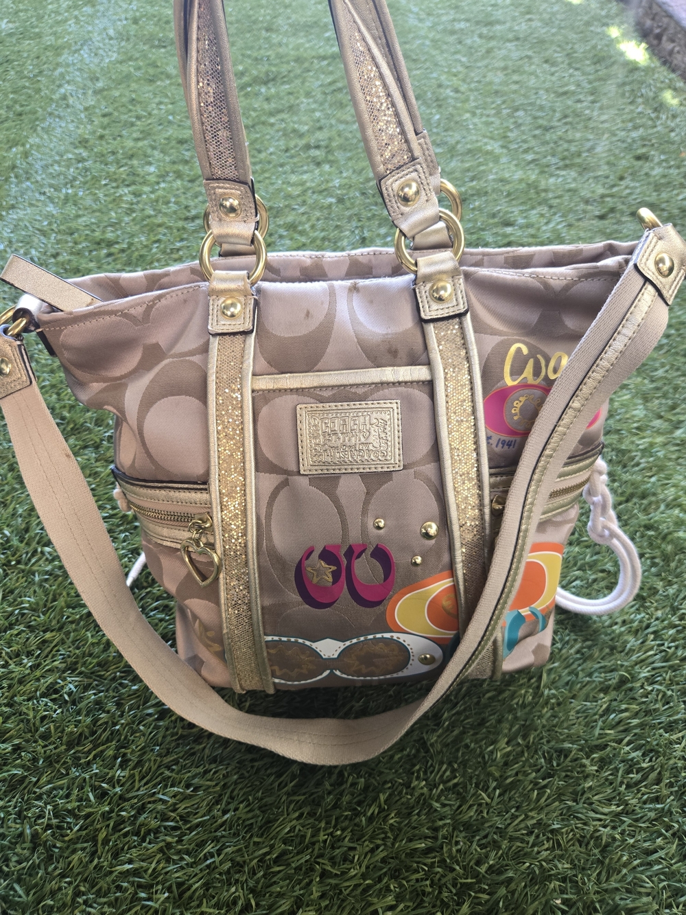 Coach Poppy Daisy Applique Spotlight Bag (Style F21101